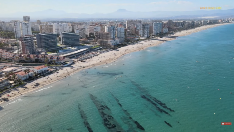 Piękne Alicante